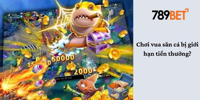 Vua Săn Cá - Hòa Mình Cùng Đại Dương Tràn Đầy Màu Sắc